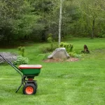 What Is the Best Month to Fertilize Your Yard?