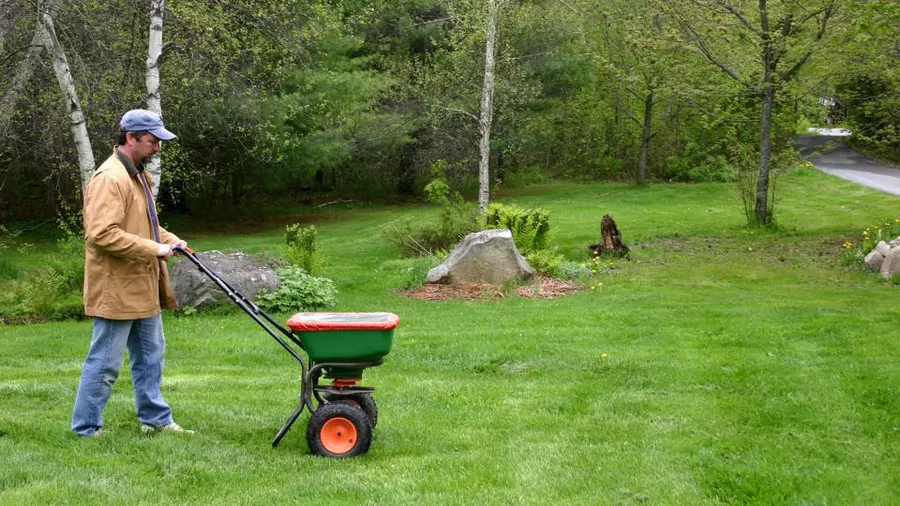 What Is the Best Month to Fertilize Your Yard?