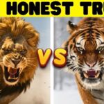 Lion vs. Tiger